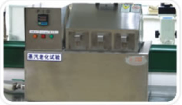 Steam aging machine